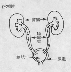 guref1.jpg (16575 Ӧ줸)