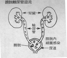 guref2.jpg (15787 Ӧ줸)